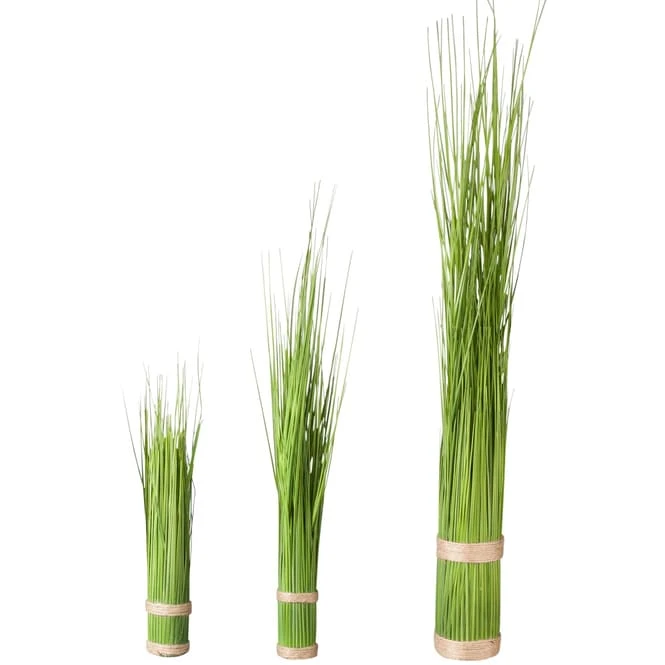 Grasbüschel - Verschiedene Größen - Image 3