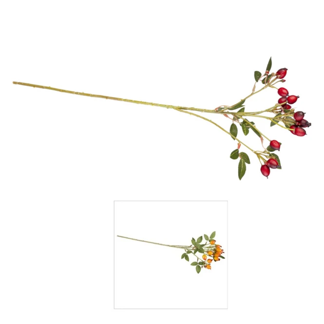 Hagebuttenzweig - Ca. 54 Cm - Verschiedene Farben - Image 3