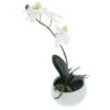 Orchidee - 25 Cm