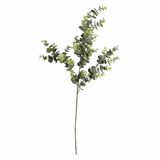 Eukalyptuszweig - Ca. 70 Cm - Image 2