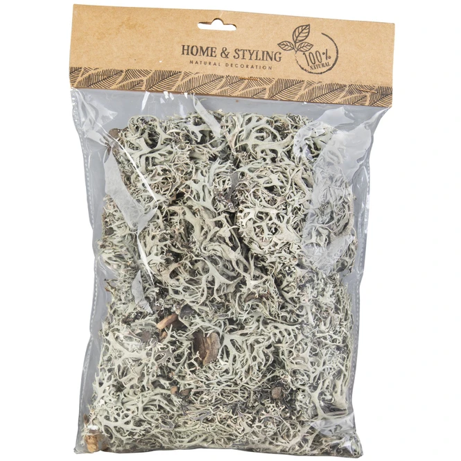 Deko-Moos - Aus Holz - 100 G - Image 3