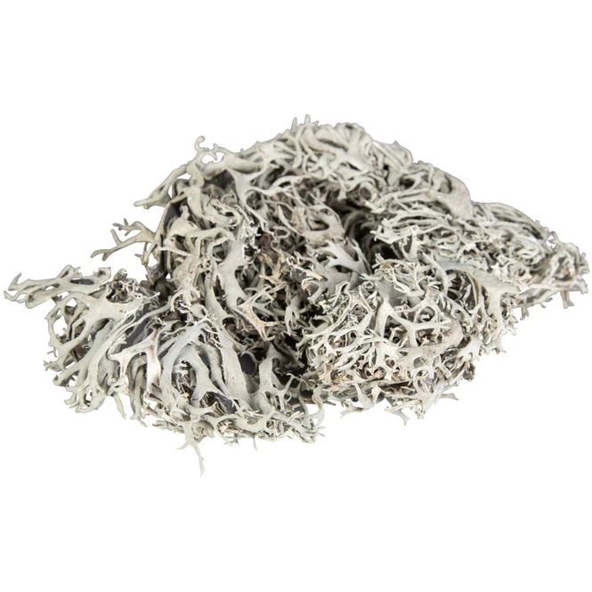 Deko-Moos - Aus Holz - 100 G - Image 2