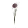 Allium - Ca. 66 Cm - Lila