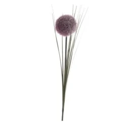 Allium - Ca. 66 Cm - Lila