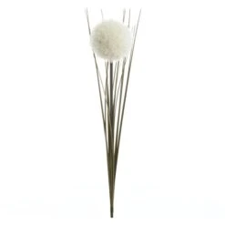 Allium - Ca. 66 Cm - Weiß