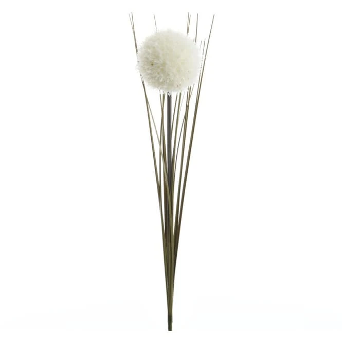 Allium - Ca. 66 Cm - Weiß