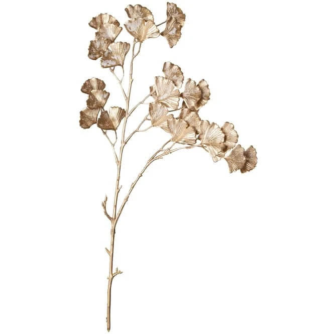 Ginkgozweig - Ca. 57 Cm - Image 2