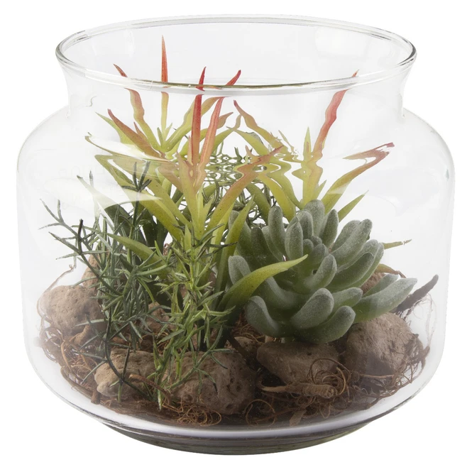 Sukkulente In Vase - Ca. 16 X 13,5 Cm - 1 Stück - Image 5