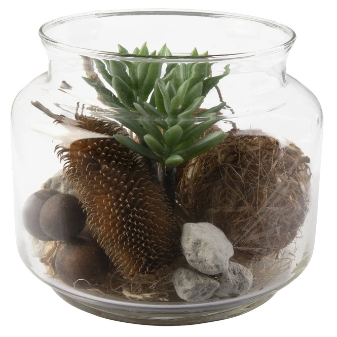 Sukkulente In Vase - Ca. 16 X 13,5 Cm - 1 Stück - Image 3