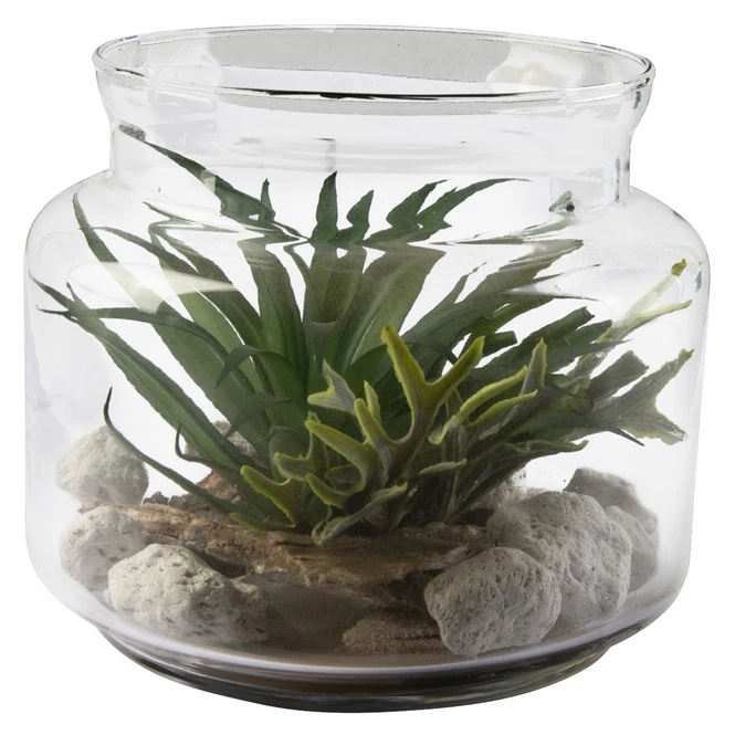 Sukkulente In Vase - Ca. 16 X 13,5 Cm - 1 Stück - Image 2