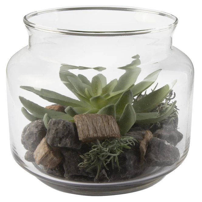 Sukkulente In Vase - Ca. 16 X 13,5 Cm - 1 Stück - Image 4