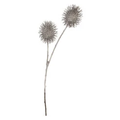 Fruchtstand - Ca. 48 Cm