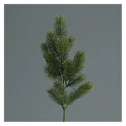 Edeltannen-Zweig - Ca. 50 Cm