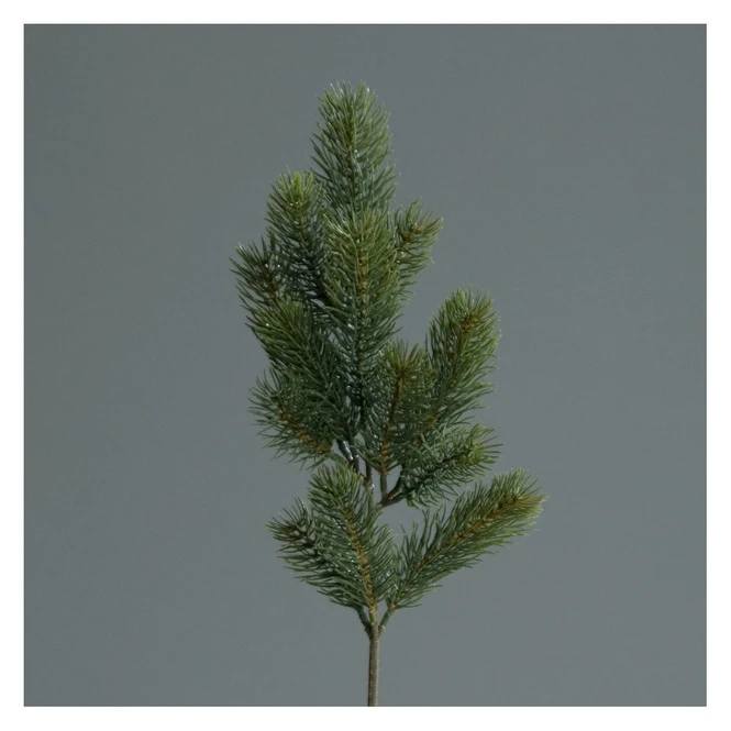 Edeltannen-Zweig - Ca. 50 Cm