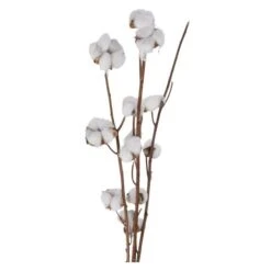 Baumwollzweig - Aus Holz - Ca. 90 Cm