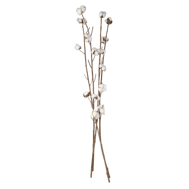 Baumwollzweig - Aus Holz - Ca. 90 Cm - Image 2