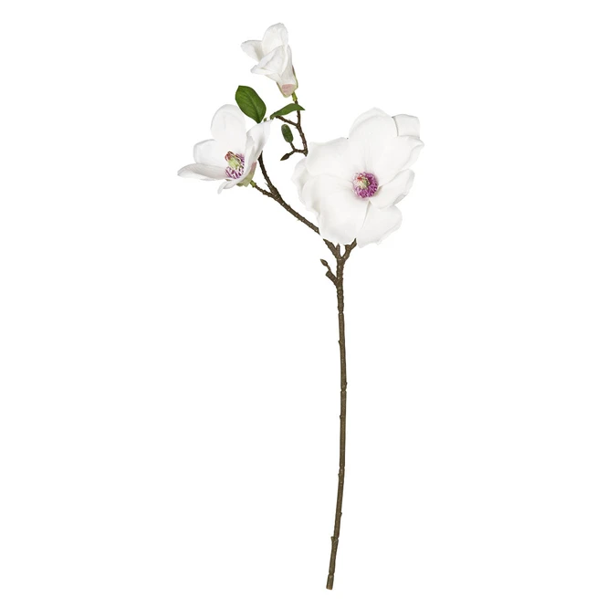 Magnolienzweig - Ca. 36 Cm - Weiß - Image 2