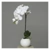 Orchidee In Topf - Ca. 46 Cm - Weiß
