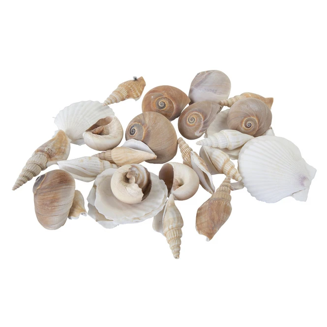 Streudeko - Muscheln - 1 Beutel - Image 2