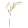 Dekozweig - Ca. 68 Cm - Weiß