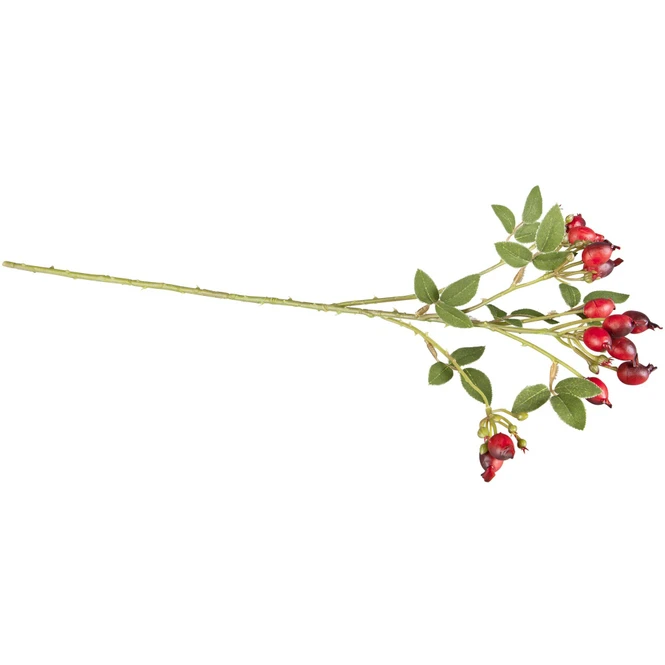 Hagebuttenzweig - Ca. 54 Cm - Verschiedene Farben - Image 4