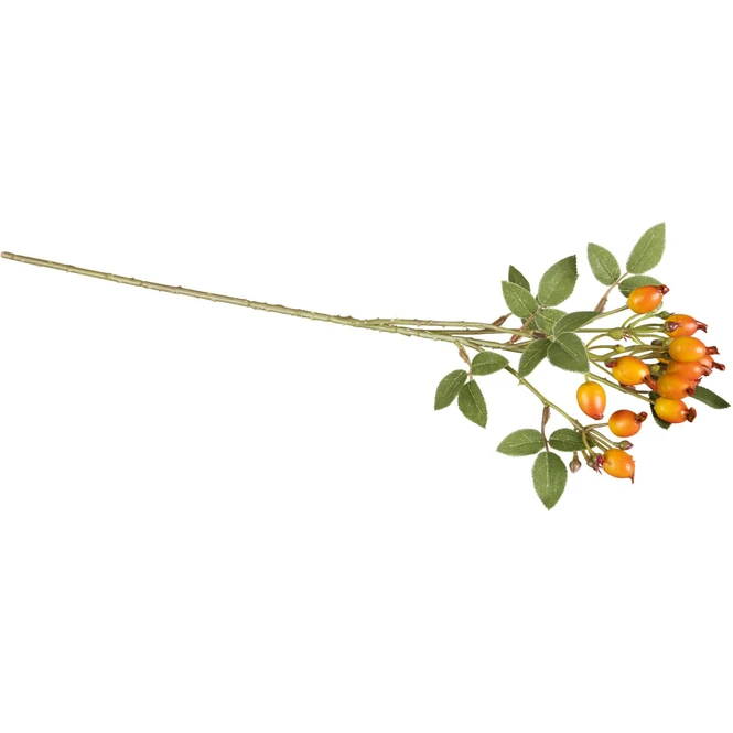 Hagebuttenzweig - Ca. 54 Cm - Verschiedene Farben - Image 2