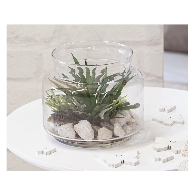 Sukkulente In Vase - Ca. 16 X 13,5 Cm - 1 Stück - Image 6