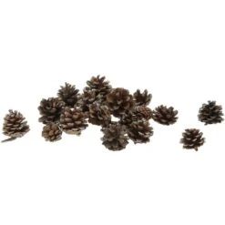 Tannenzapfen - Aus Holz - Ca. 200 G